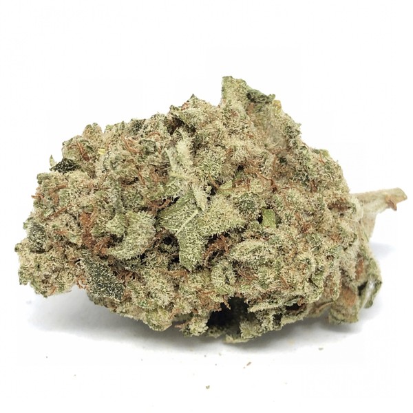 Chocolope - All Greens, Sativa Dominant - 1 Gram - 448 Grams