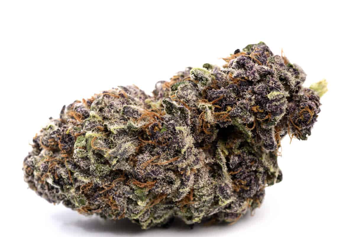 Purple Space Cookies - Indica Dominant, All Greens