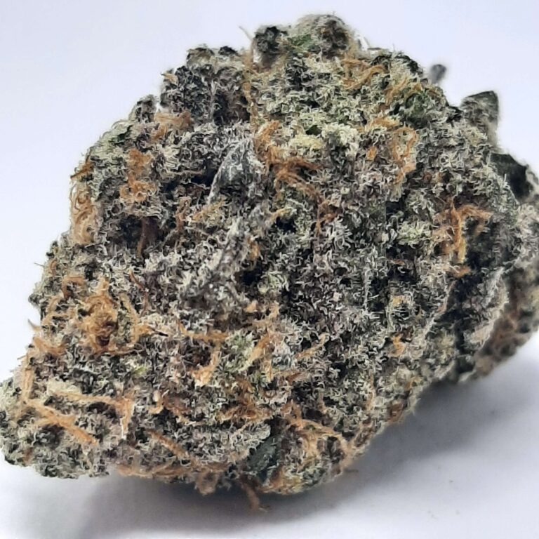 Black Tuna - All Greens, Hybrid