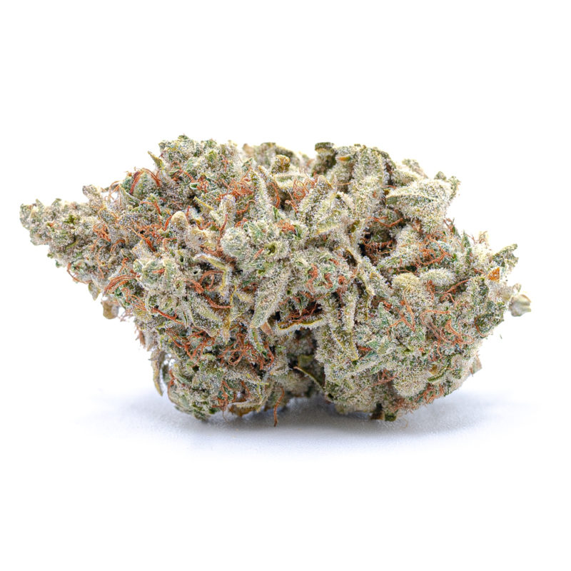 Cereal Milk - All Greens, Hybrid