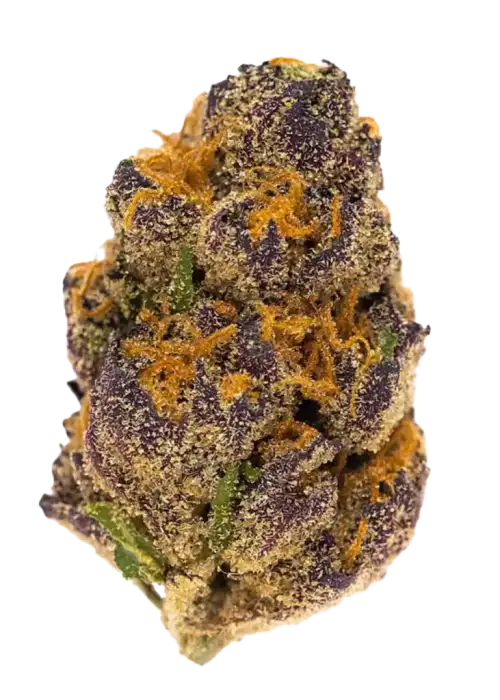 Purple Mendocino - All Greens, Indica Dominant - 1Gram - 448Grams