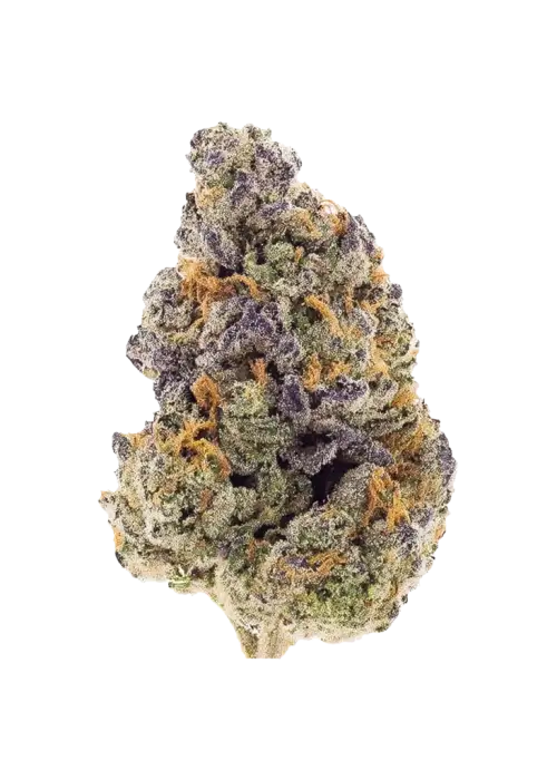 Rainbow Pie - All Greens, Hybrid