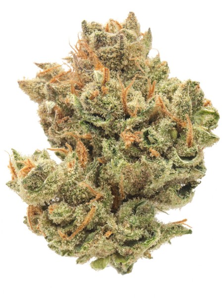Super Silver Haze - All Greens, Sativa Dominant - 1 Gram - 448Grams